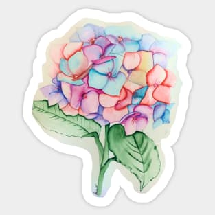 HydrangeaMulticolour Sticker